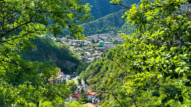 Borjomi (2-3 days) 
    