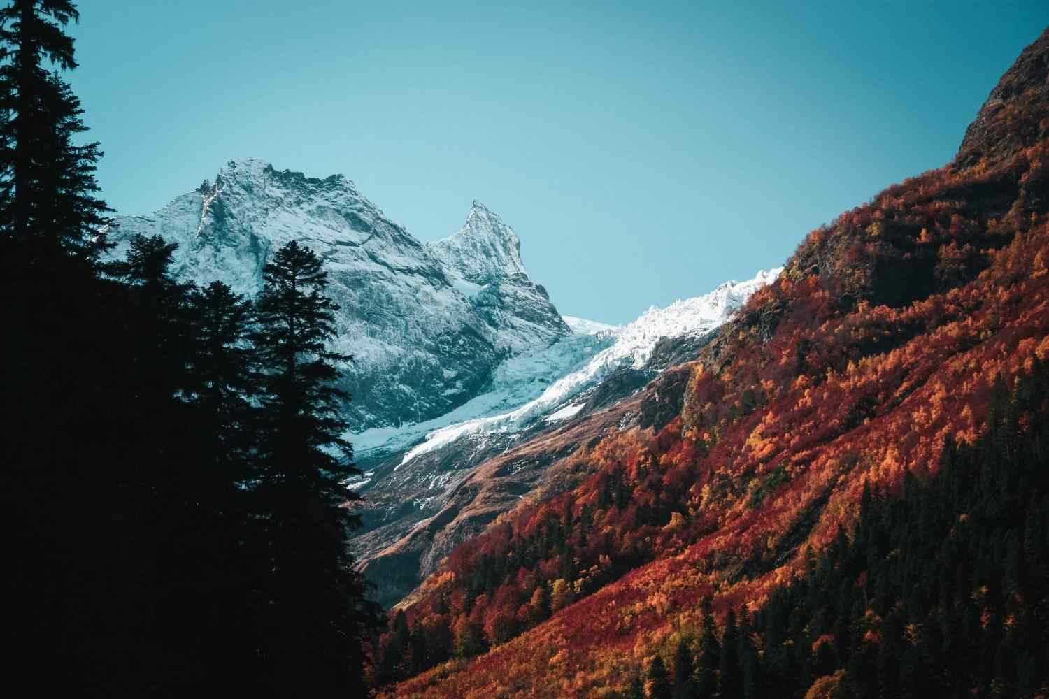Caucasus Mountains In Georgia