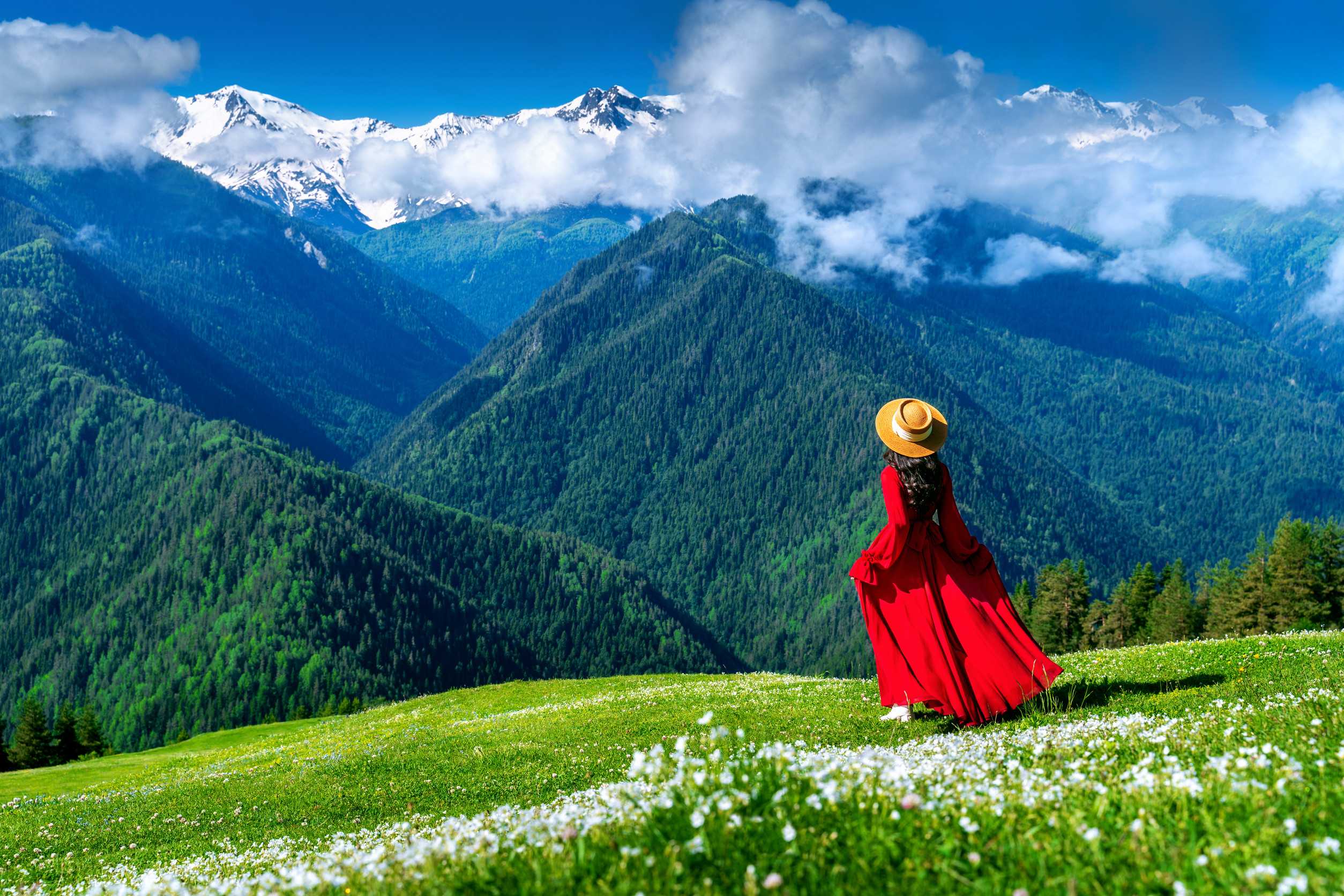 green pasture and flowers near snow mountain in georgia