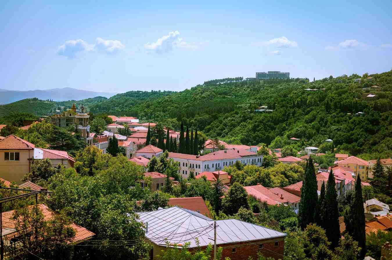 Sunny View Of Houses In The Georgian Hills